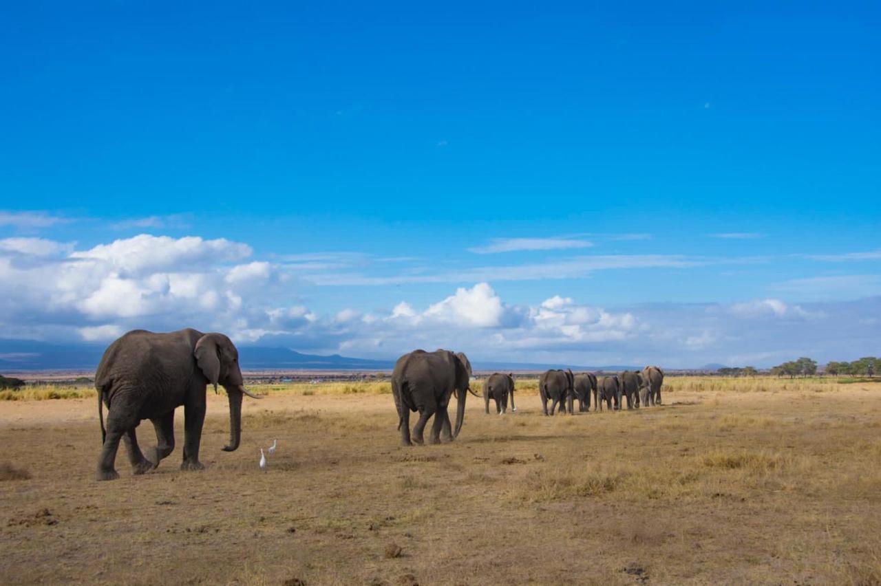 Amboseli Cultural Camping Εξωτερικό φωτογραφία