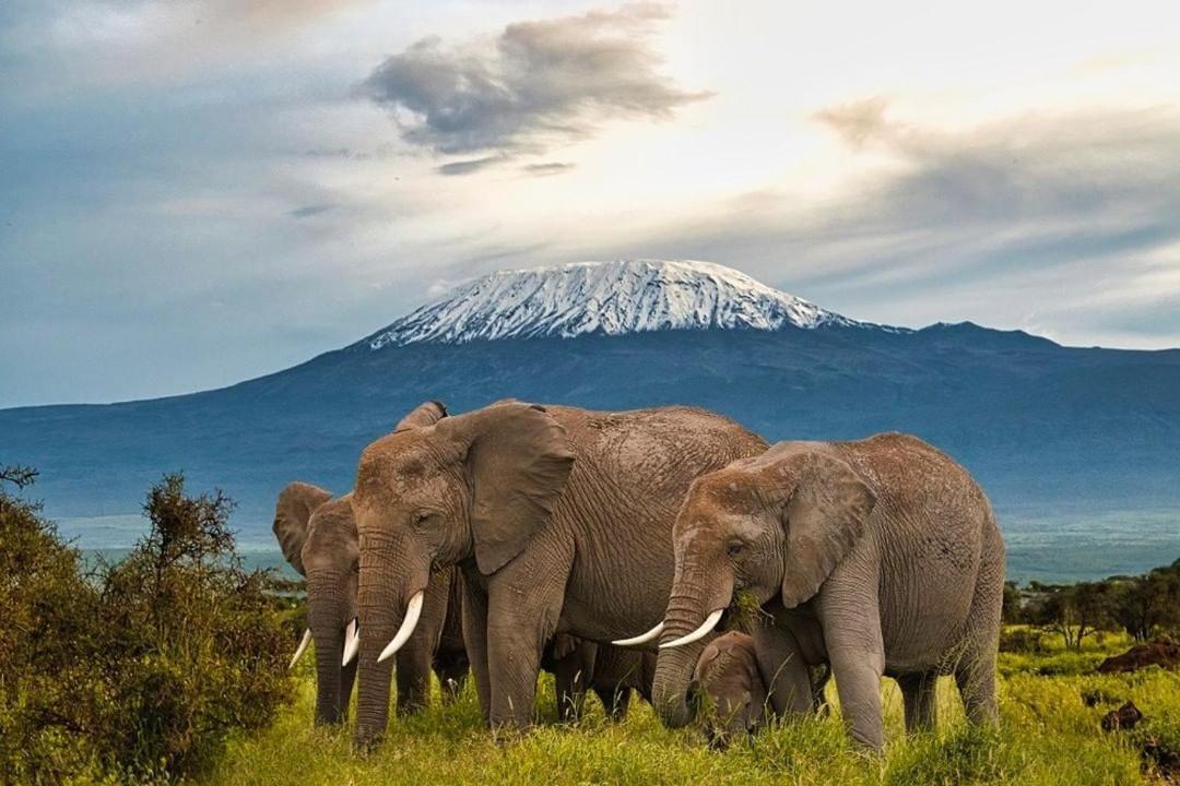 Amboseli Cultural Camping Εξωτερικό φωτογραφία