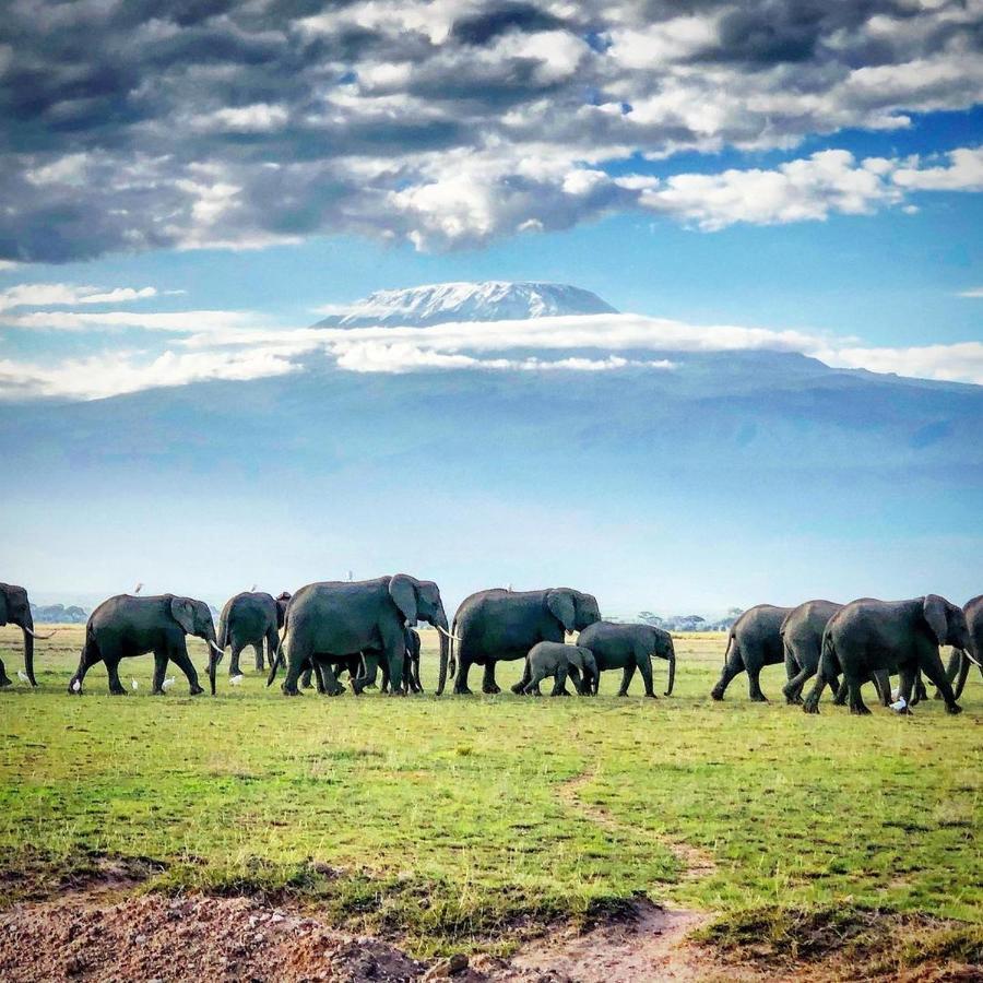 Amboseli Cultural Camping Εξωτερικό φωτογραφία