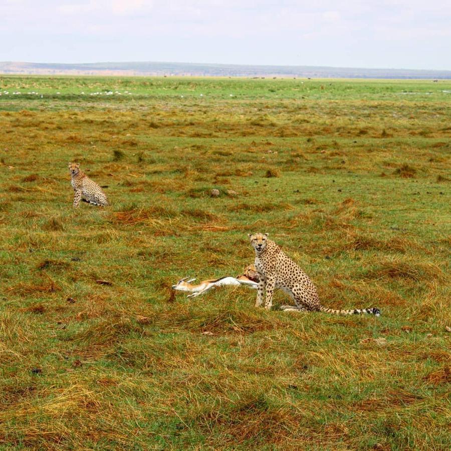 Amboseli Cultural Camping Εξωτερικό φωτογραφία