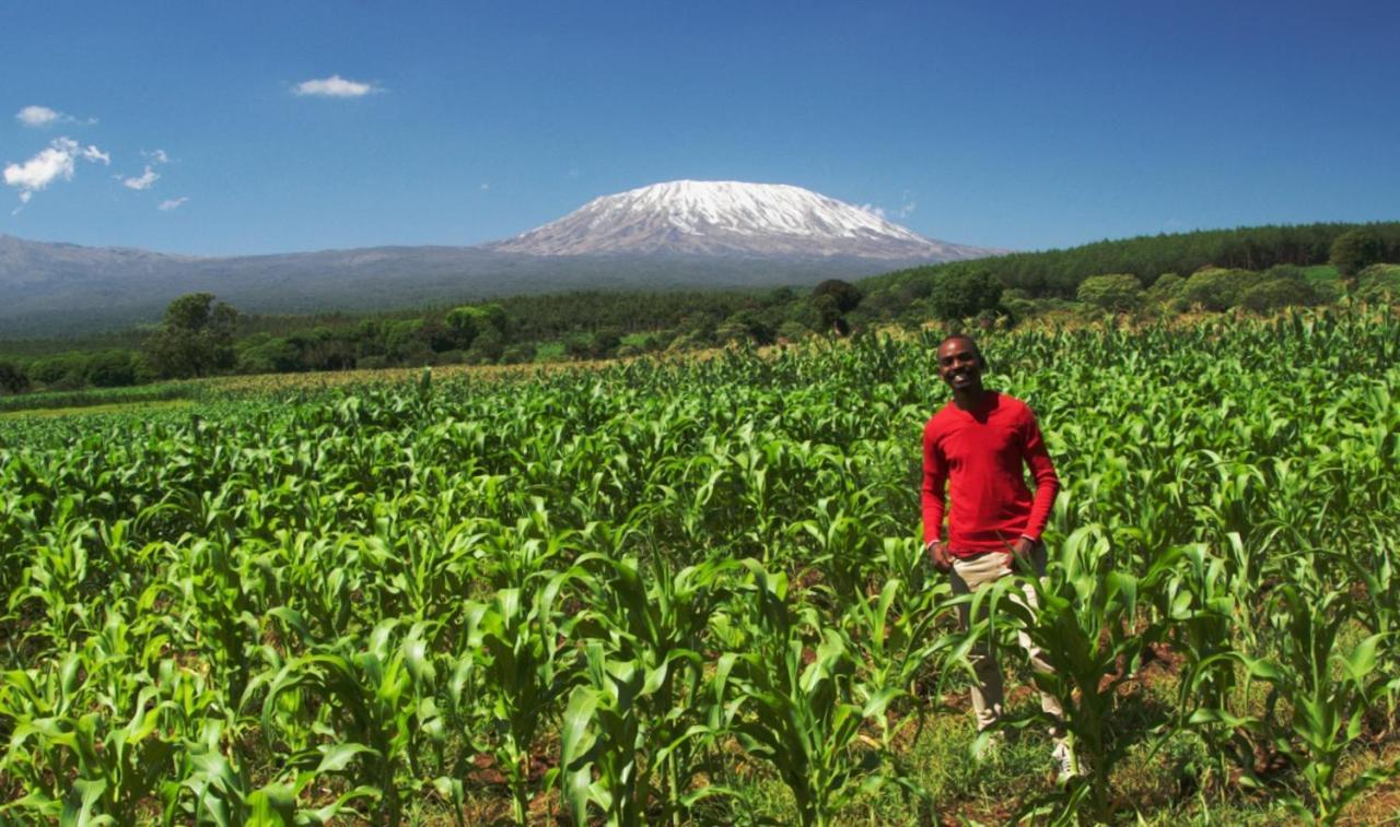 Amboseli Cultural Camping Εξωτερικό φωτογραφία
