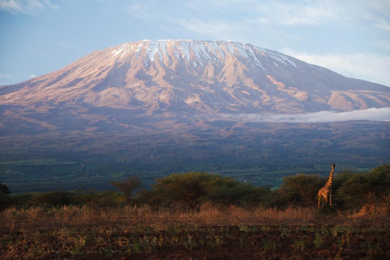 Amboseli Cultural Camping Εξωτερικό φωτογραφία